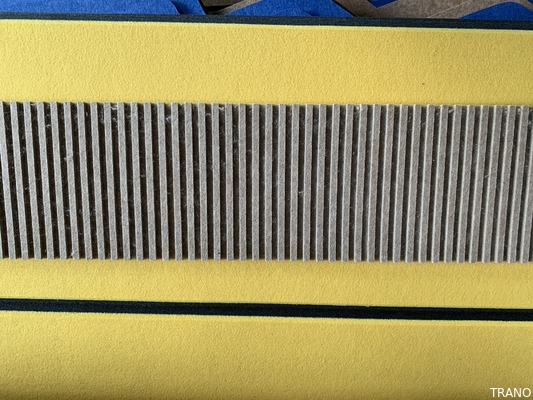 Pannelli di parete acustici stimati del fuoco B1 3D per decorativo