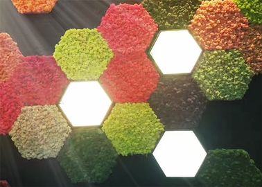 Pannelli di parete acustici del muschio 3d della natura per la prova della muffa della decorazione della pianta verde delle pareti