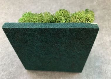 Facile leggero di isolamento acustico decorativo dei pannelli acustici della pianta verde spolverare