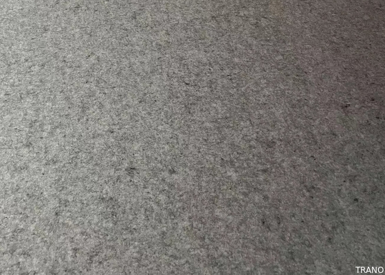 Anti pannello acustico batterico senza polvere della fibra di poliestere del grado E0